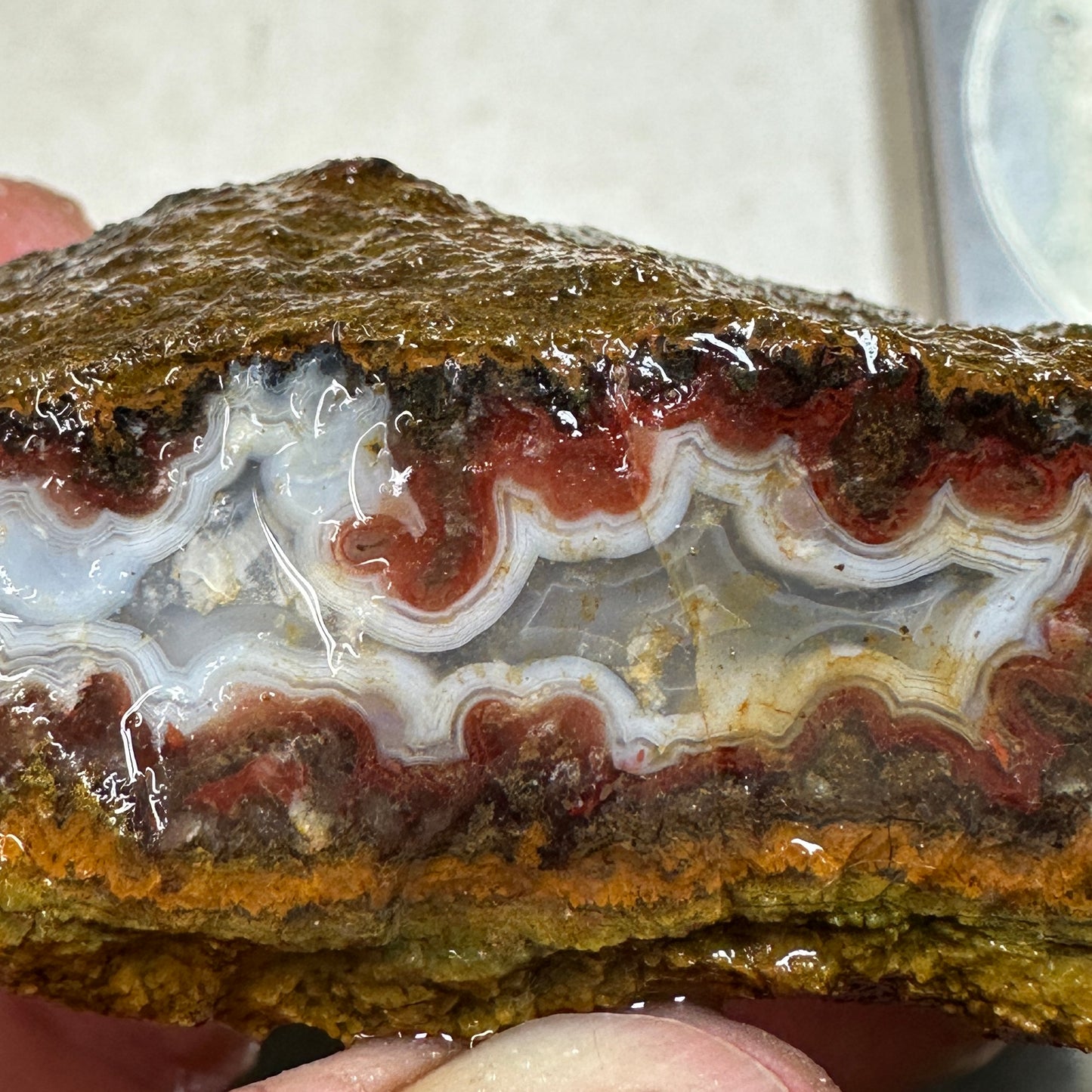 MOROCCAN SEAM AGATE Rough - 0.48 Pounds