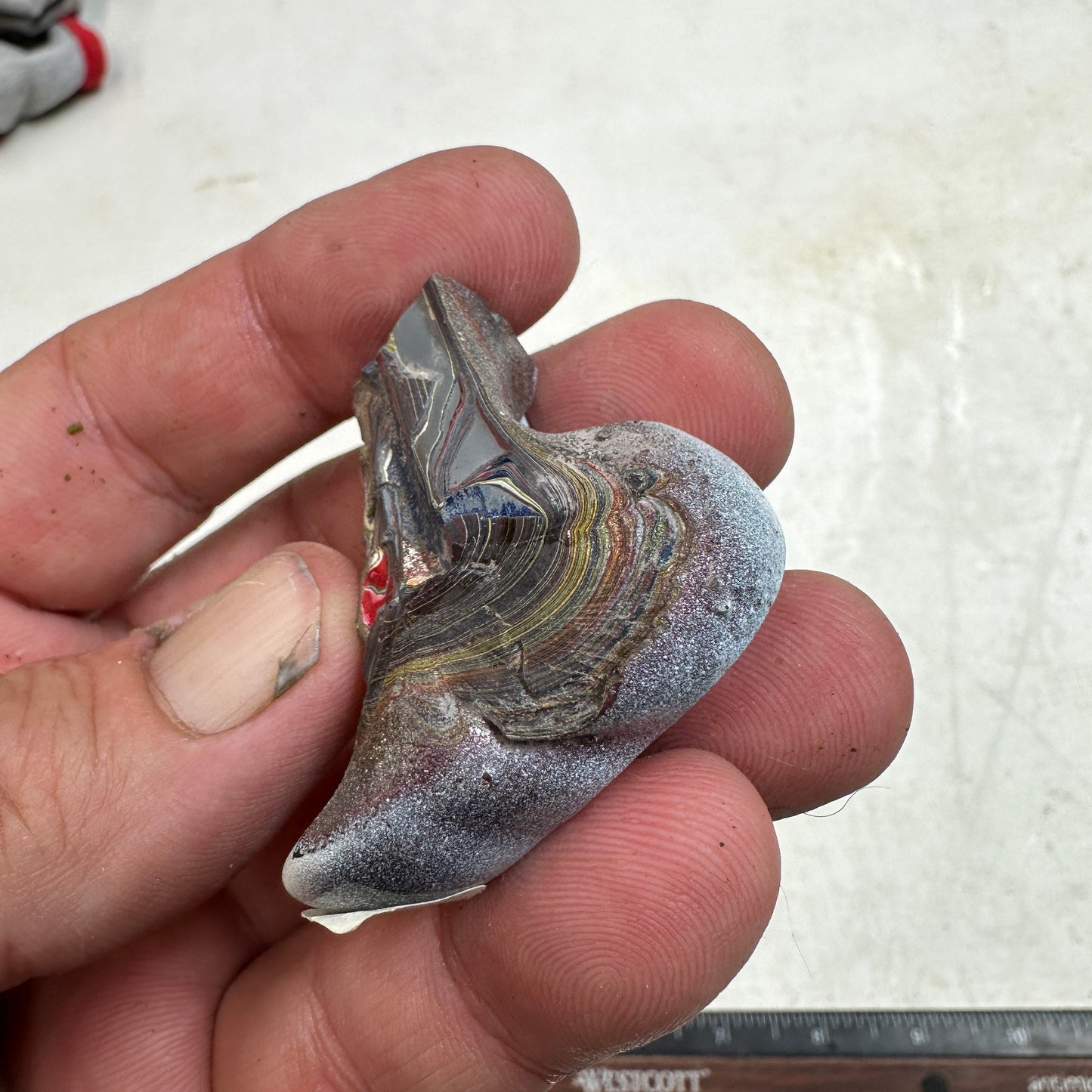 CORVETTE FORDITE Rough - 17.8 grams