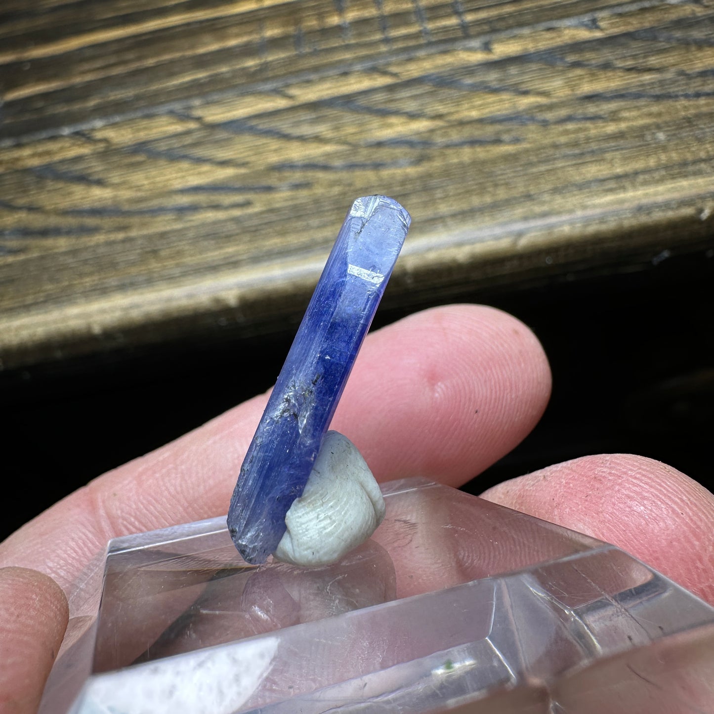 TANZANITE Crystal Display Mineral Specimen