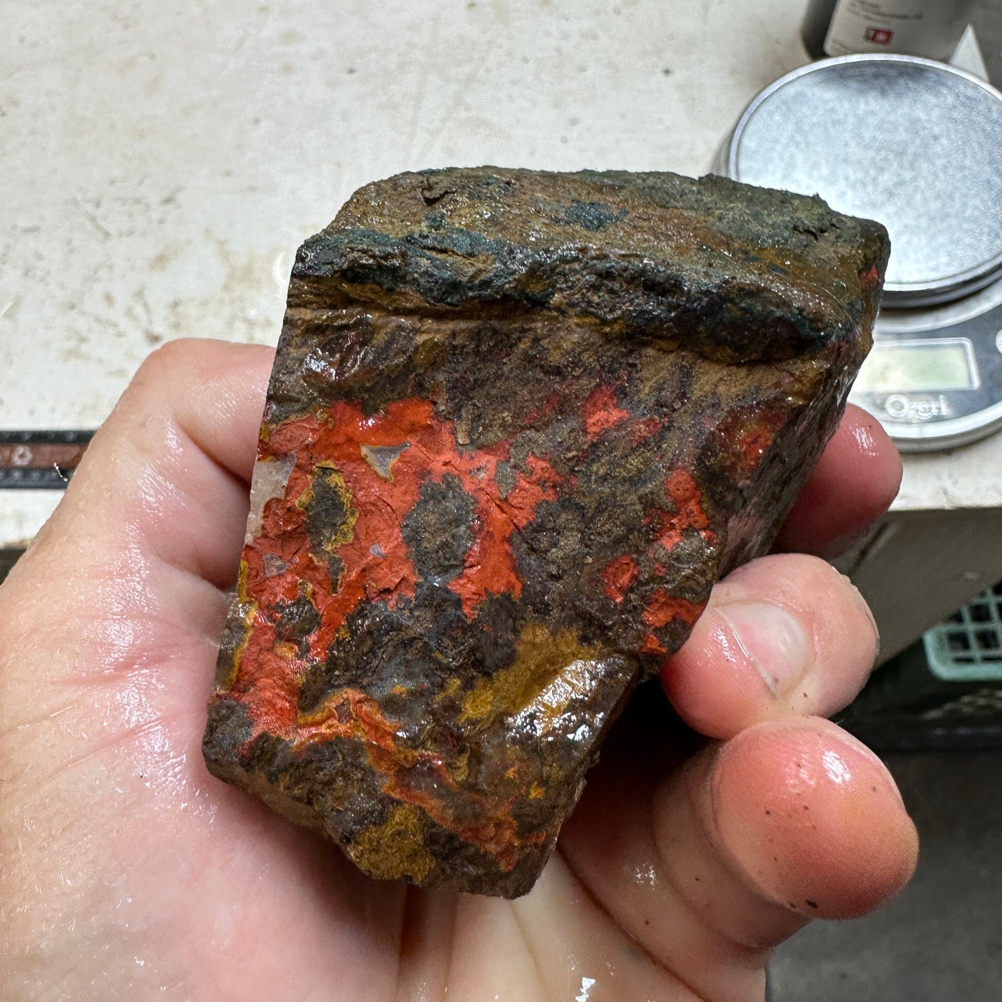 MOROCCAN SEAM AGATE Rough - 1.75 pounds