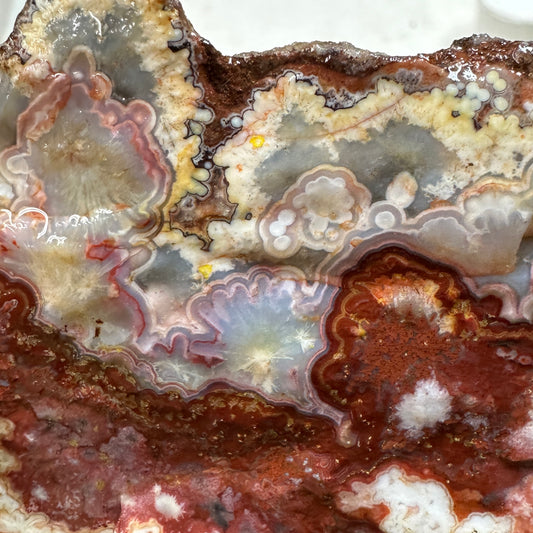 CRAZY LACE AGATE Rough - 1.76 Pounds