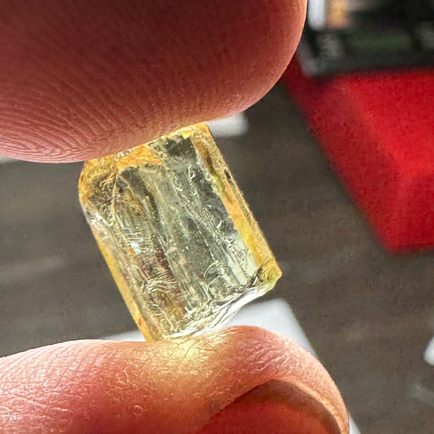 9.8ct YELLOW APATITE Facet Rough