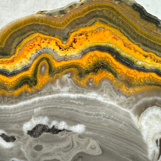 BUMBLEBEE ONYX Slab - 171 grams