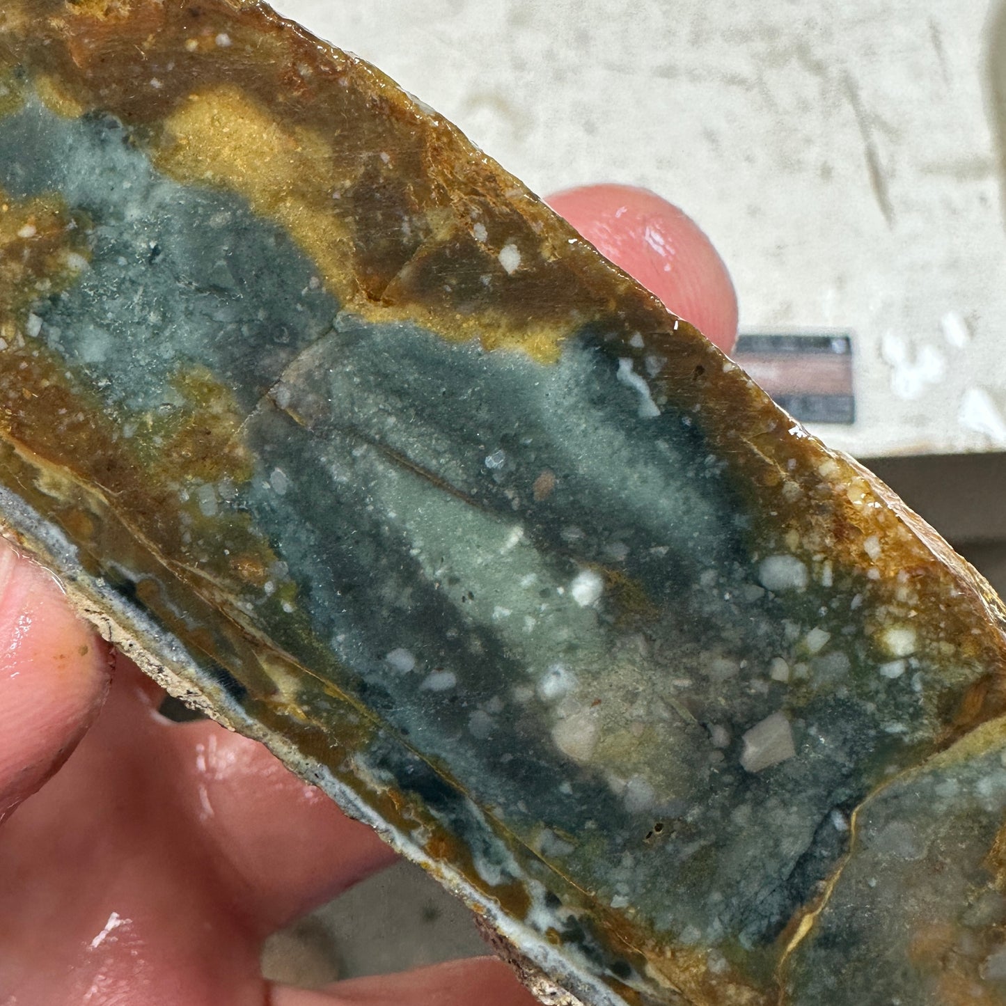 MORRISONITE JASPER Faced Rough - 0.59 Pounds