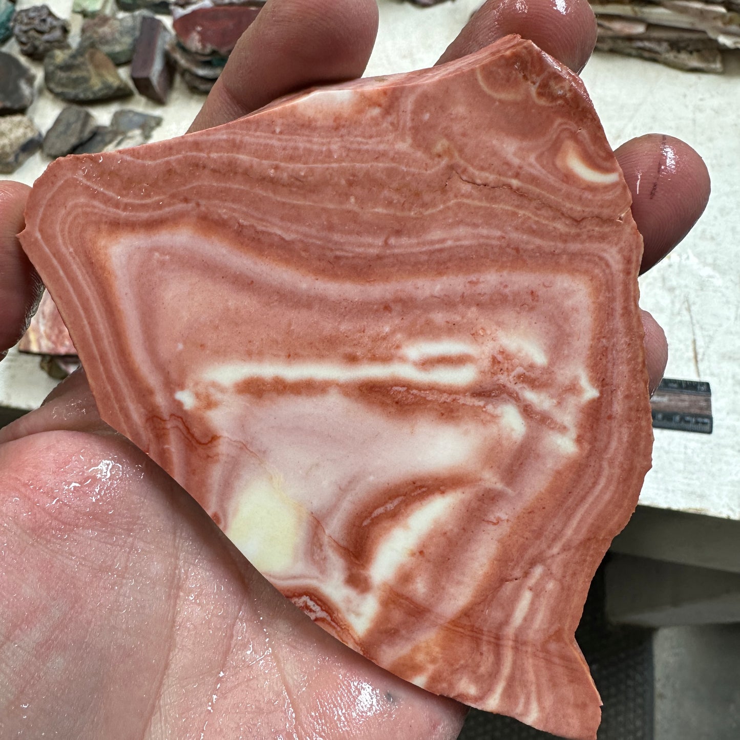 WINDY MOUNTAIN JASPER Slab - 127 grams