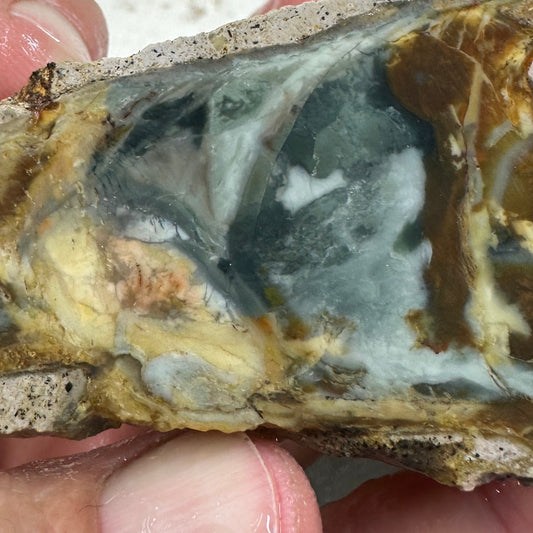 MORRISONITE JASPER Faced Rough - 0.49 Pounds