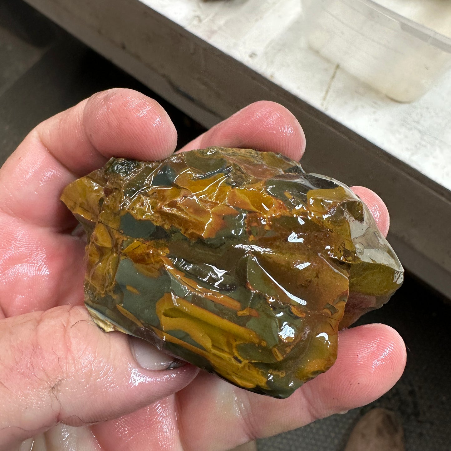 HART MOUNTAIN JASPER Faced Rough - 0.48 Pounds