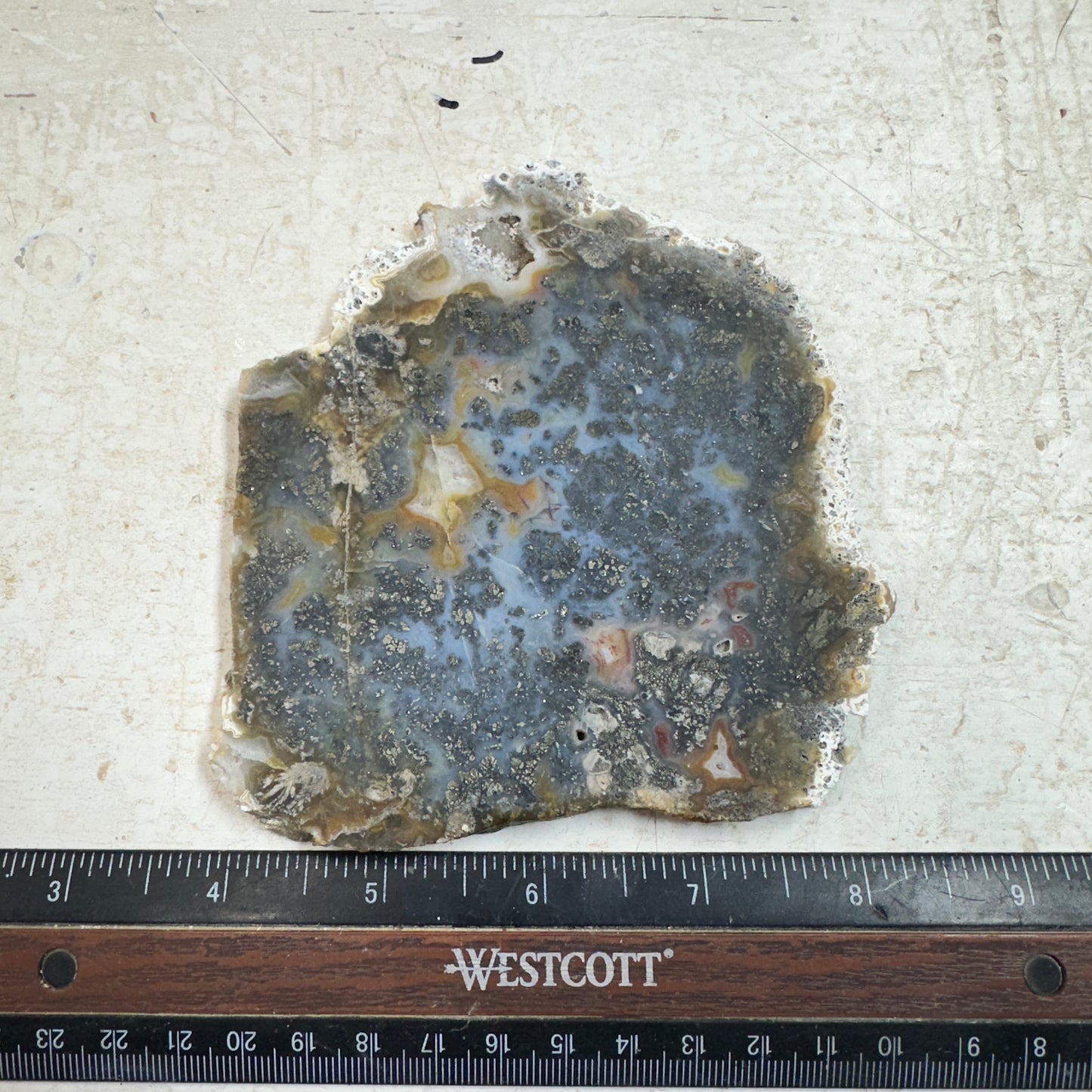 MARCASITE AGATE Slab - 189 grams