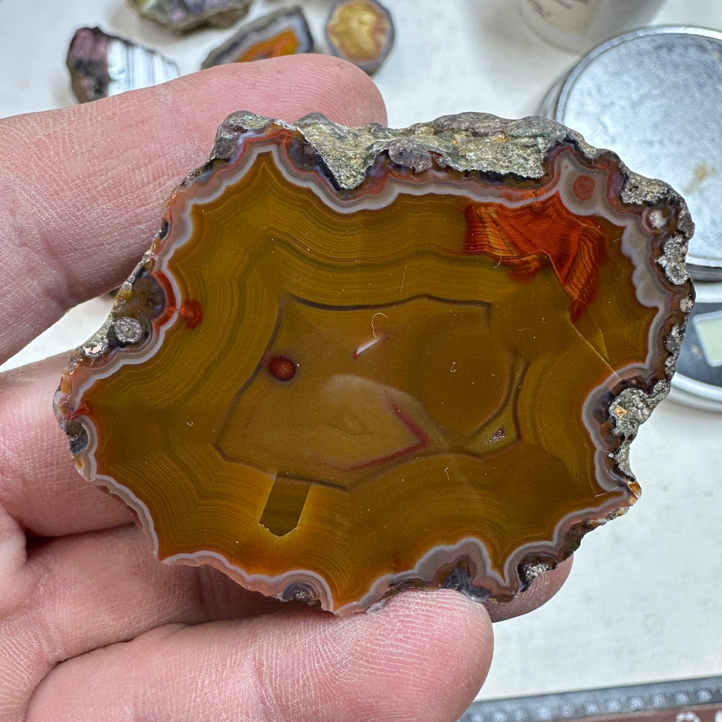 CONDOR AGATE Polished Specimen