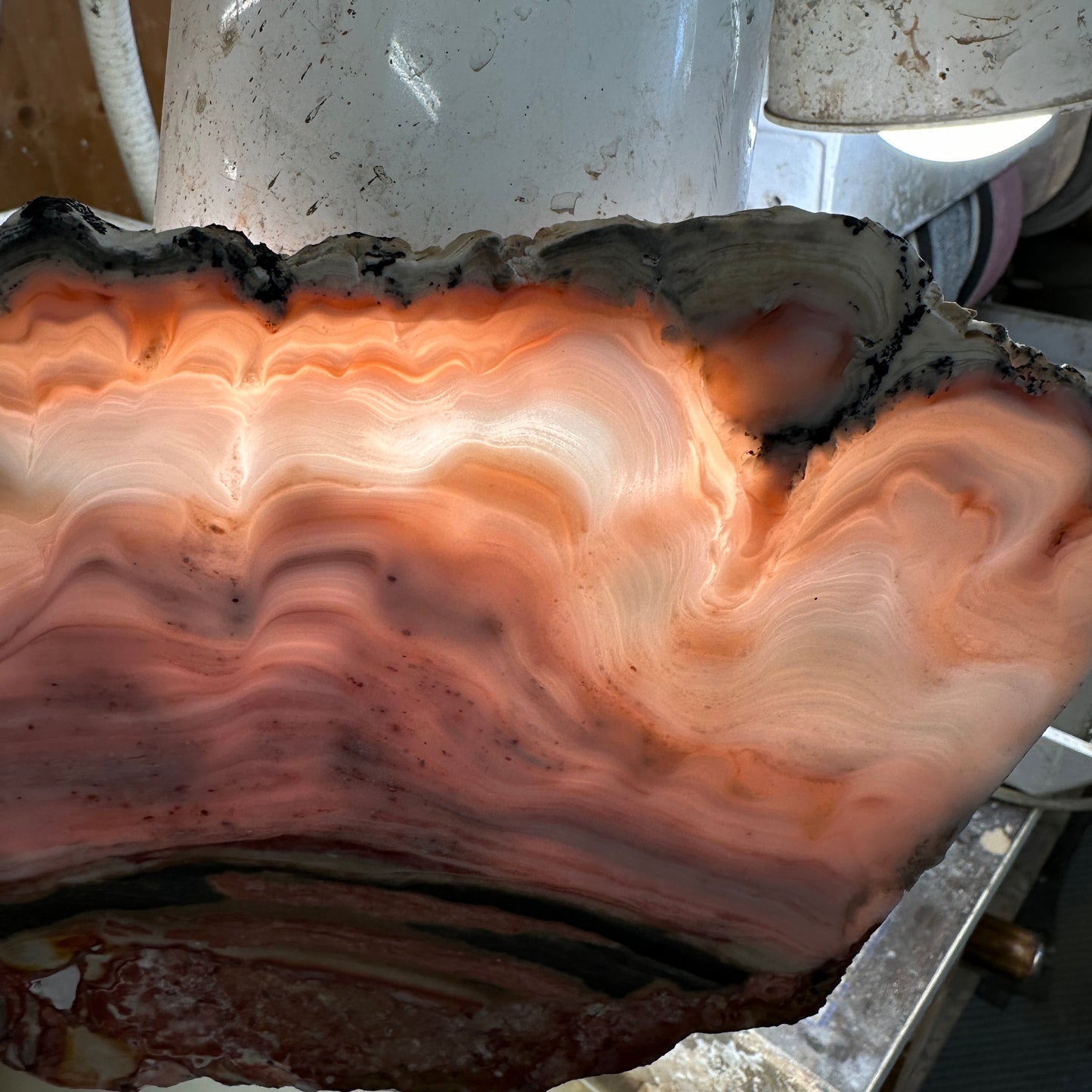 WINDY MOUNTAIN AGATE Slab - 536 grams