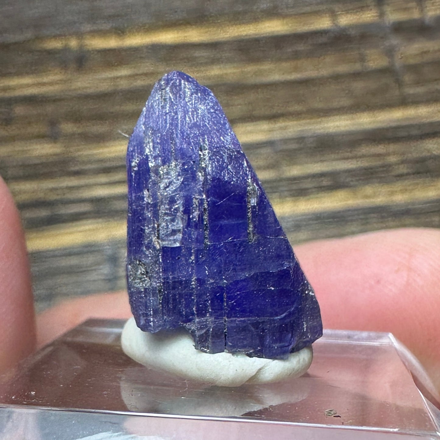 TANZANITE Crystal Display Mineral Specimen