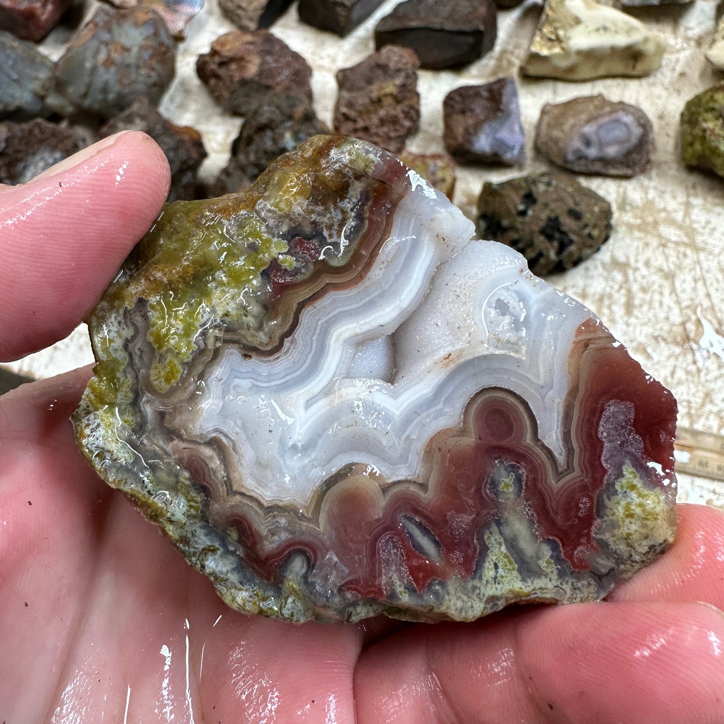 AGUA NUEVA AGATE Rough - 0.66 Pounds