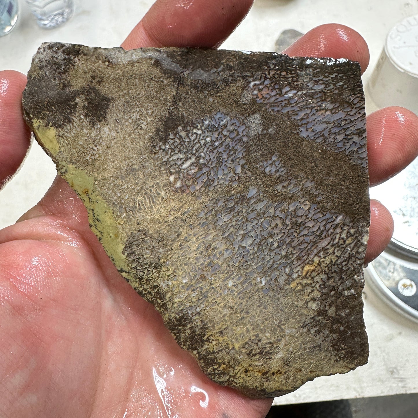 GEMBONE Dinosaur Bone Slab - 127 grams