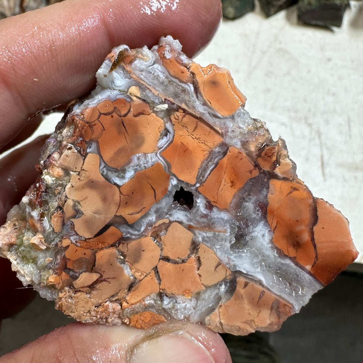 TIFFANY STONE Faced Rough - 0.55 Pounds