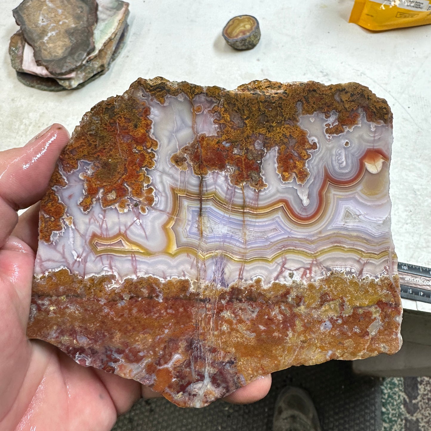 AGUA NUEVA AGATE Slab - 283 grams