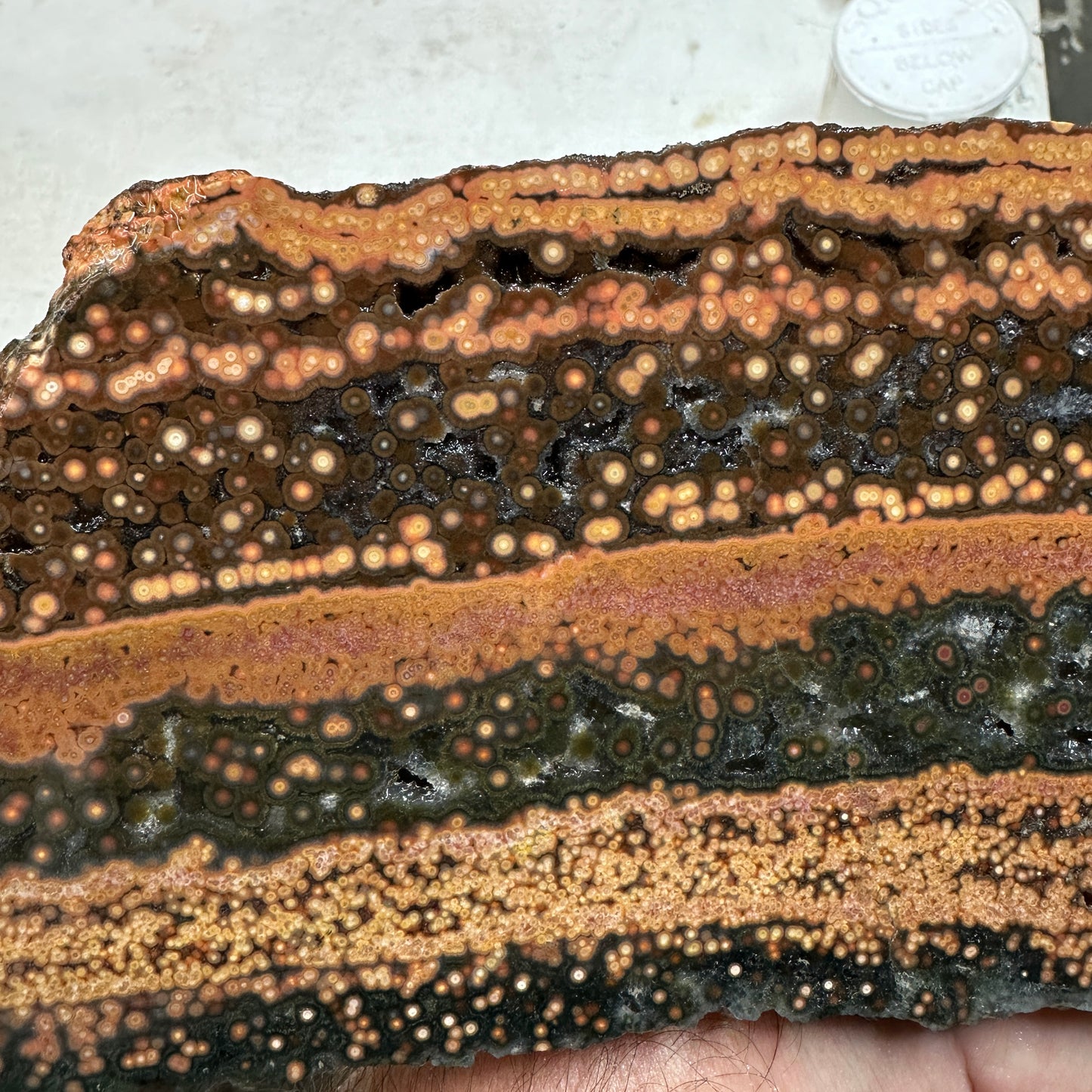 Chocolate RIVER JASPER Slab - 316 grams