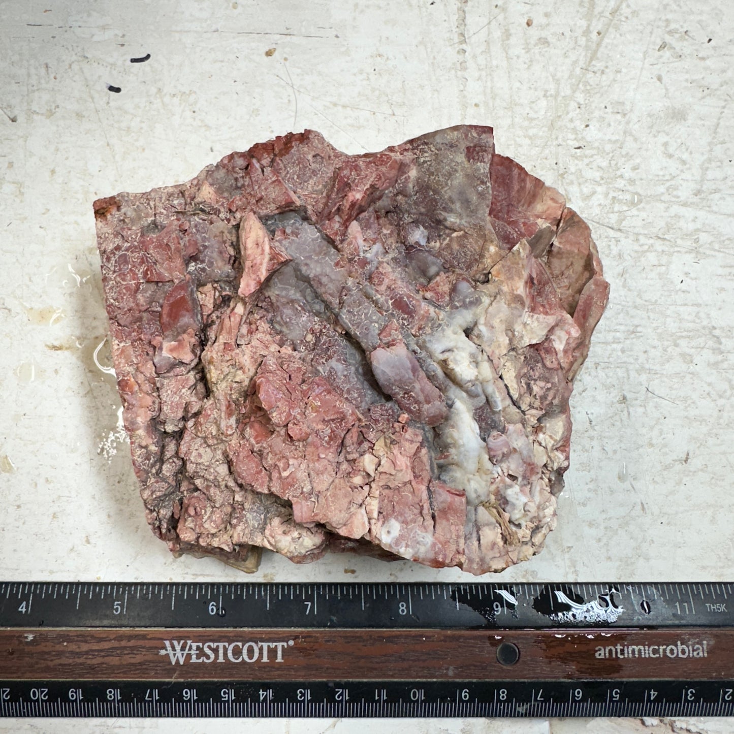 Red HOWARDITE Faced Rough - 24.8ozs