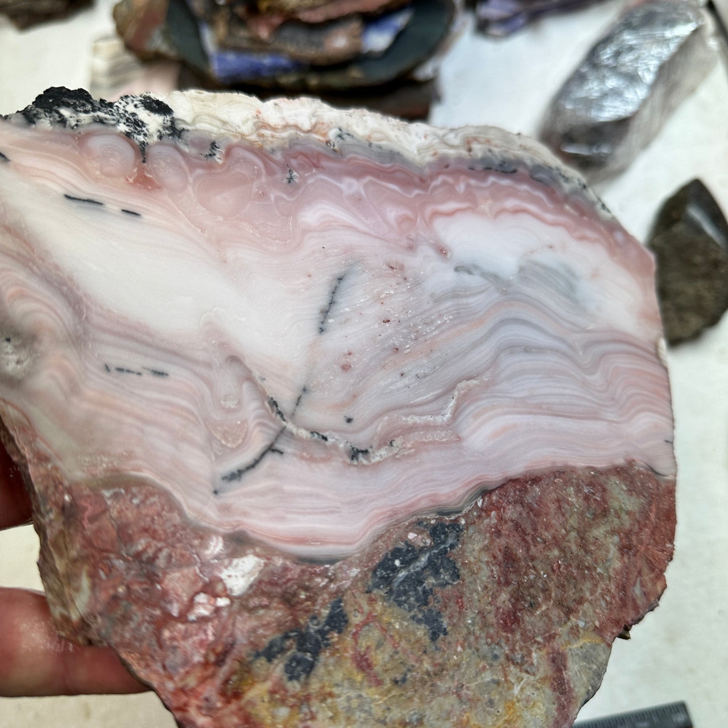 WINDY MOUNTAIN AGATE Slab - 473 grams