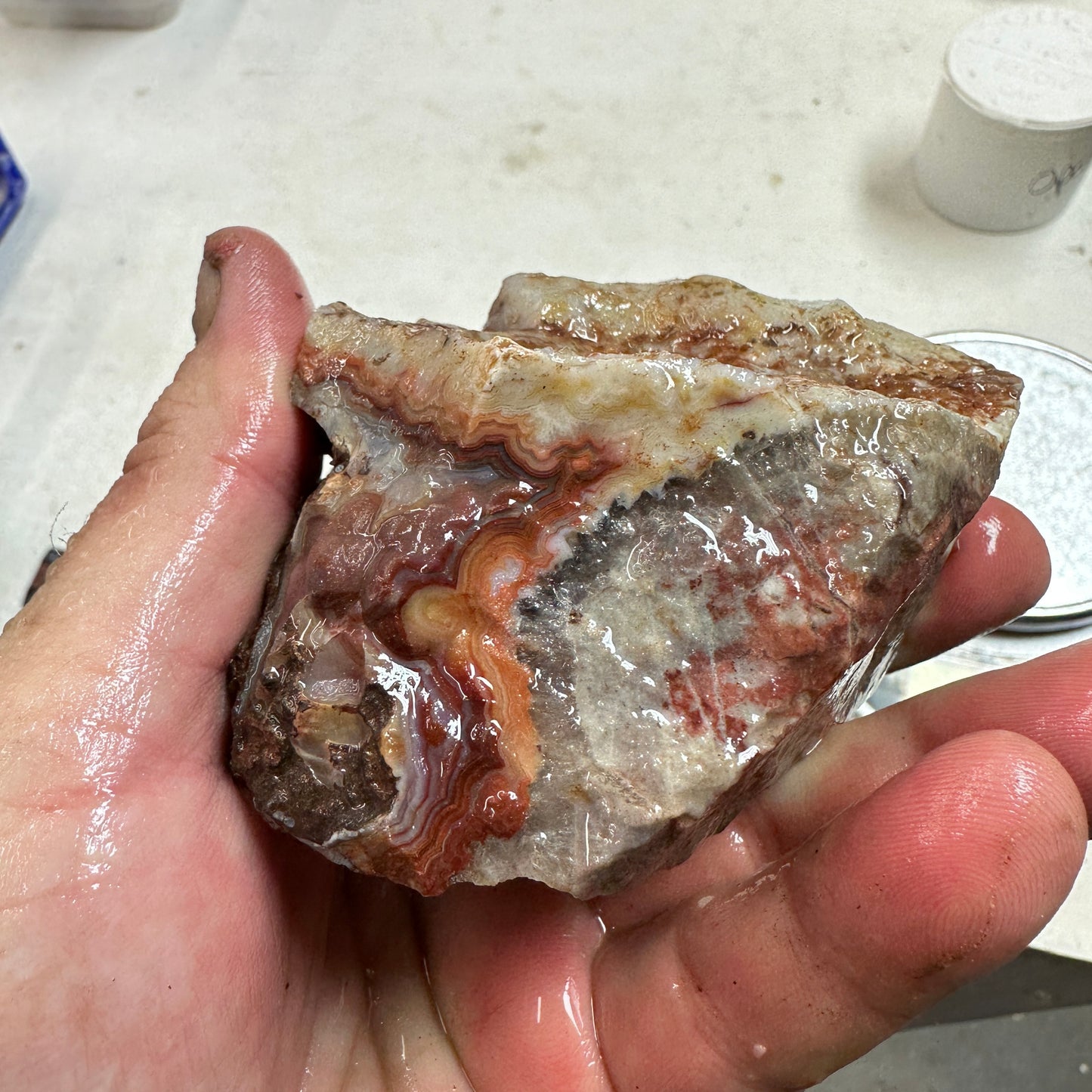 CRAZY LACE AGATE Rough - 1.17 Pounds