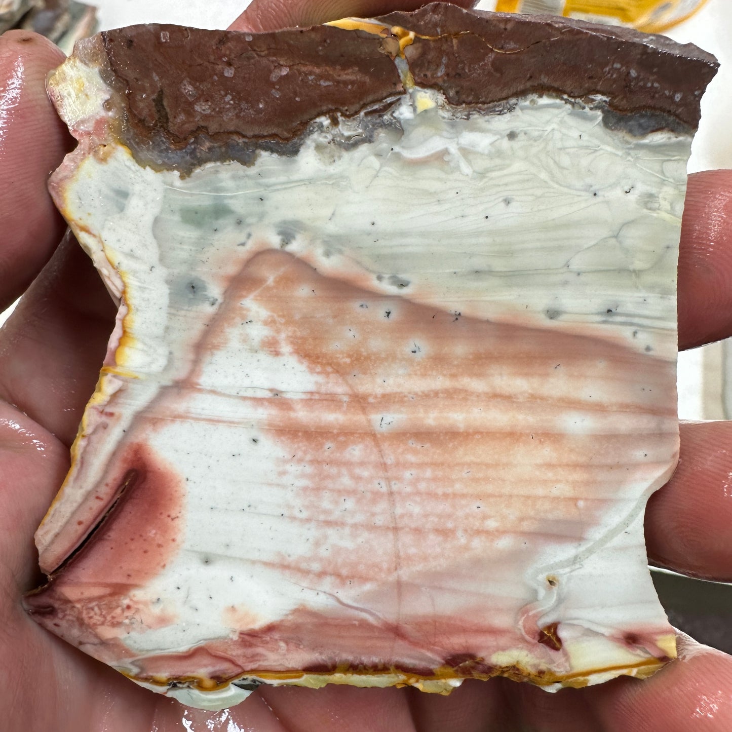 WILLOW CREEK JASPER Slab - 100 grams