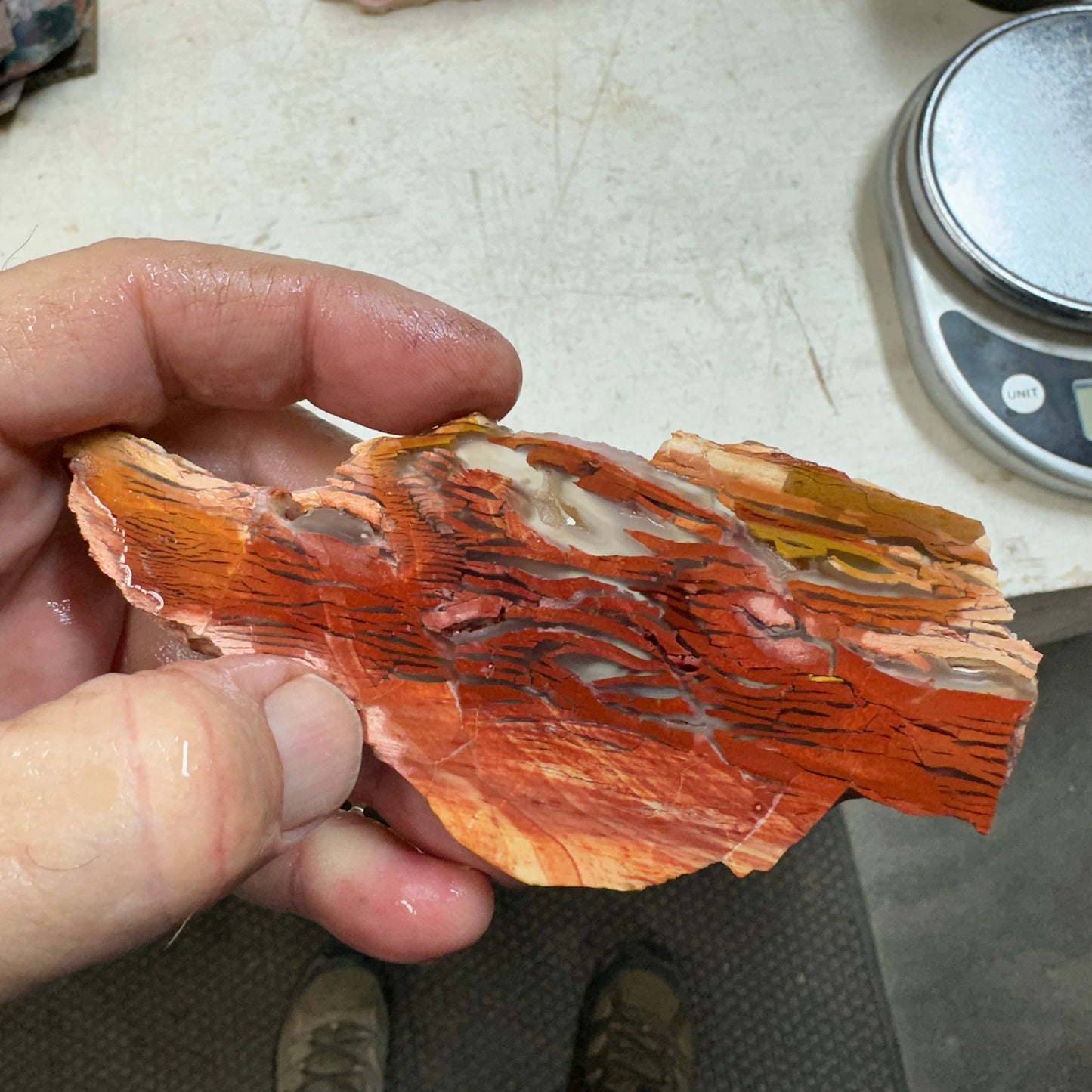 SUNSET HOWARDITE Slab - 61 grams