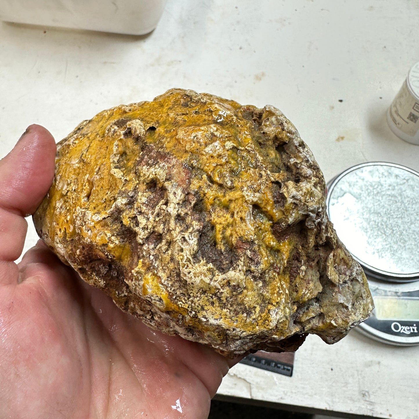 EAST TIMOR AGATE Faced Rough - 1.71 Pounds