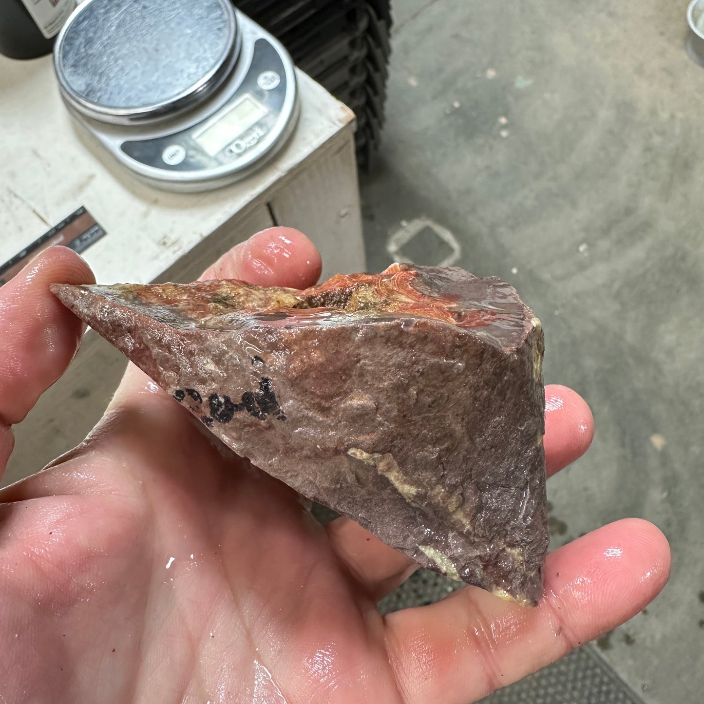 DRYHEAD AGATE Faced Rough - 0.73 Pounds
