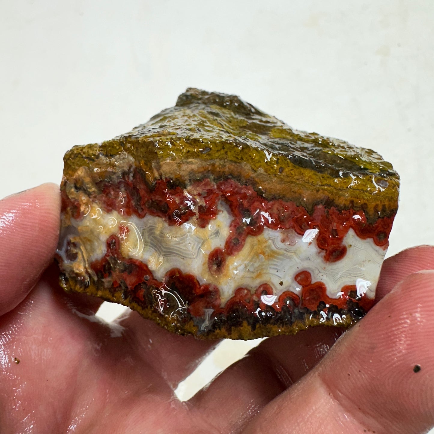 MOROCCAN SEAM AGATE Rough - 0.43 Pounds