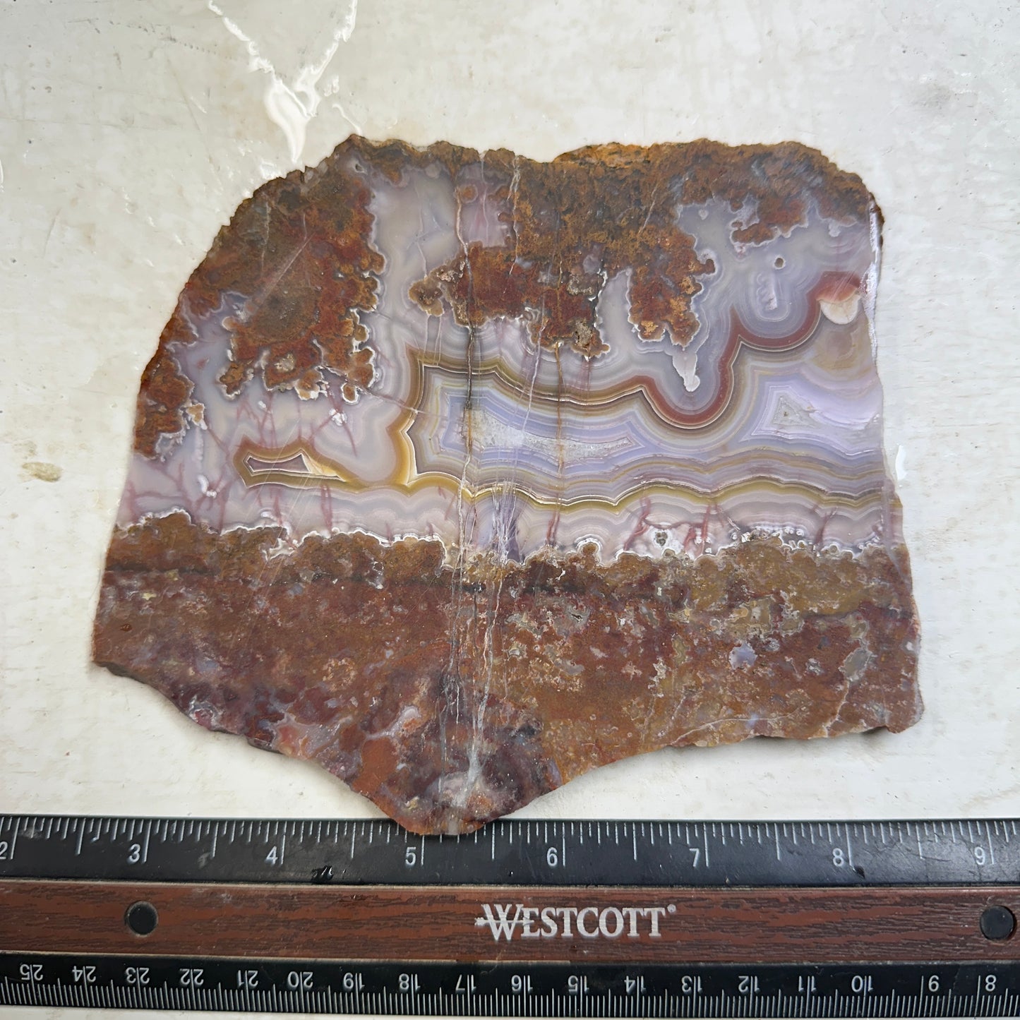 AGUA NUEVA AGATE Slab - 283 grams