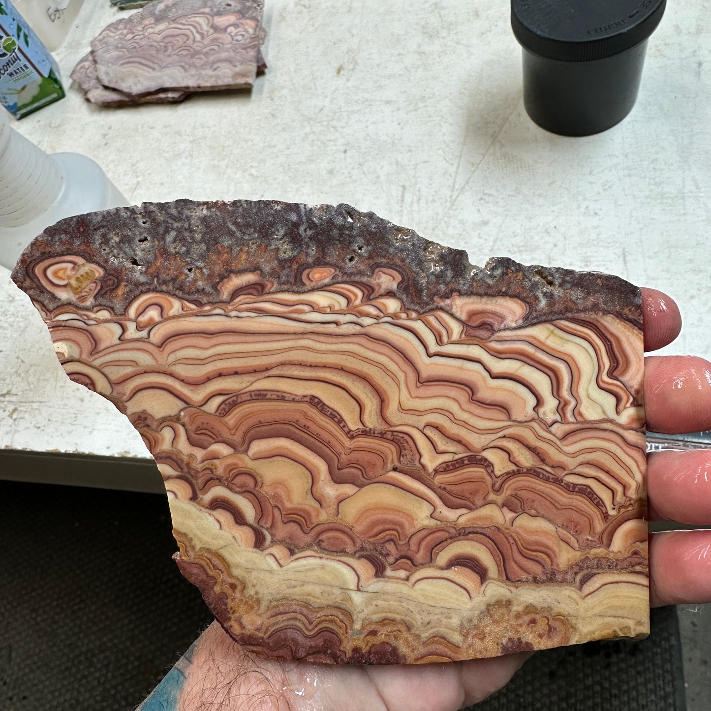 ROLLING HILLS DOLOMITE Slab - 257 grams