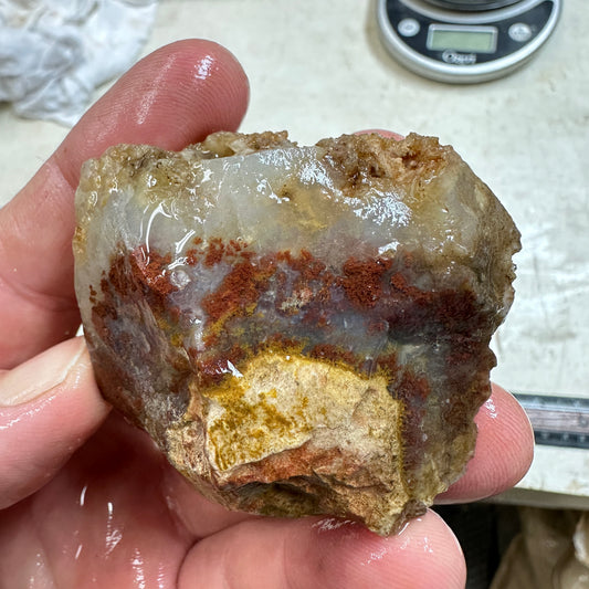 CAREY PLUME AGATE Rough - 4.15oz