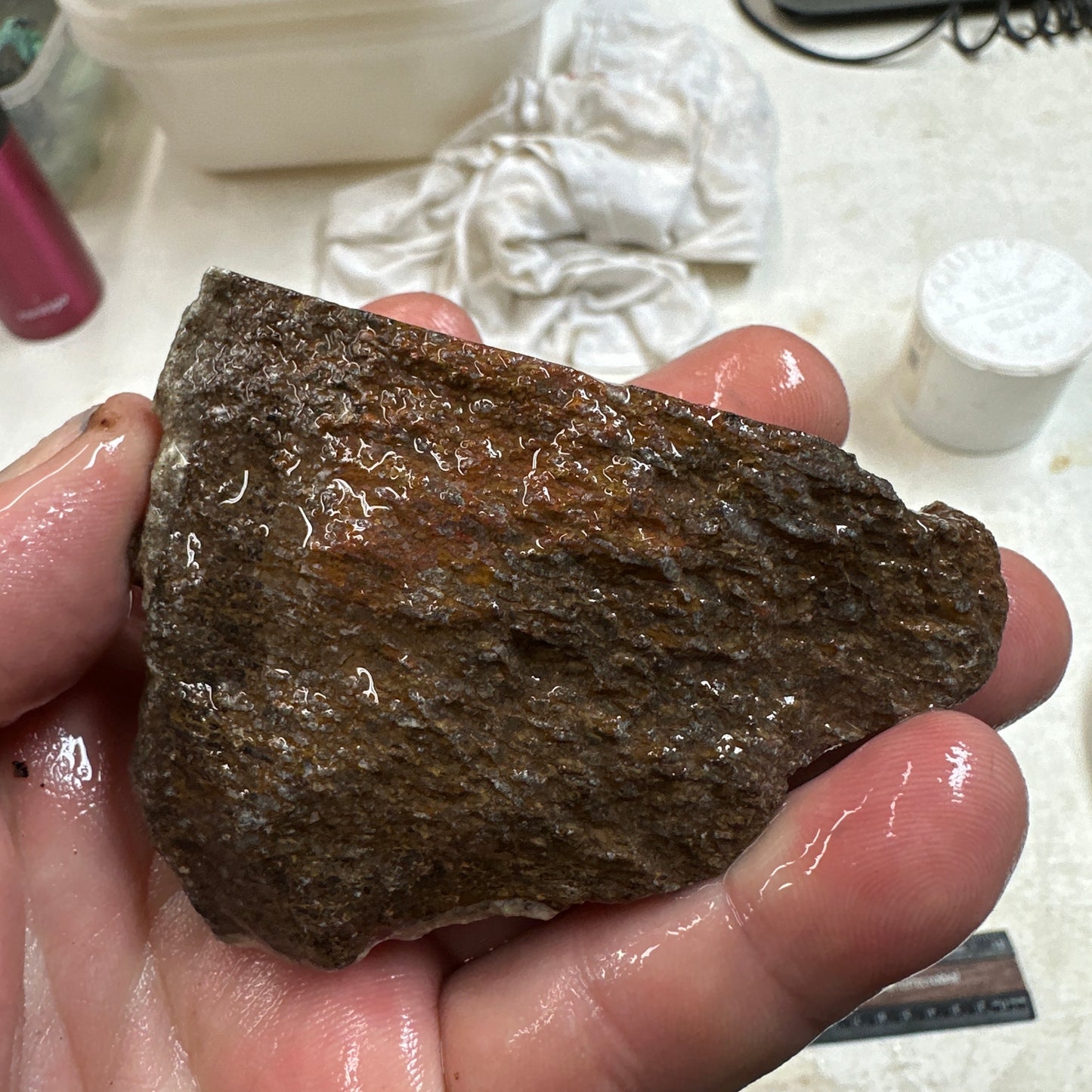 GEMBONE Dinosaur Bone Faced Rough - 0.58 Pounds