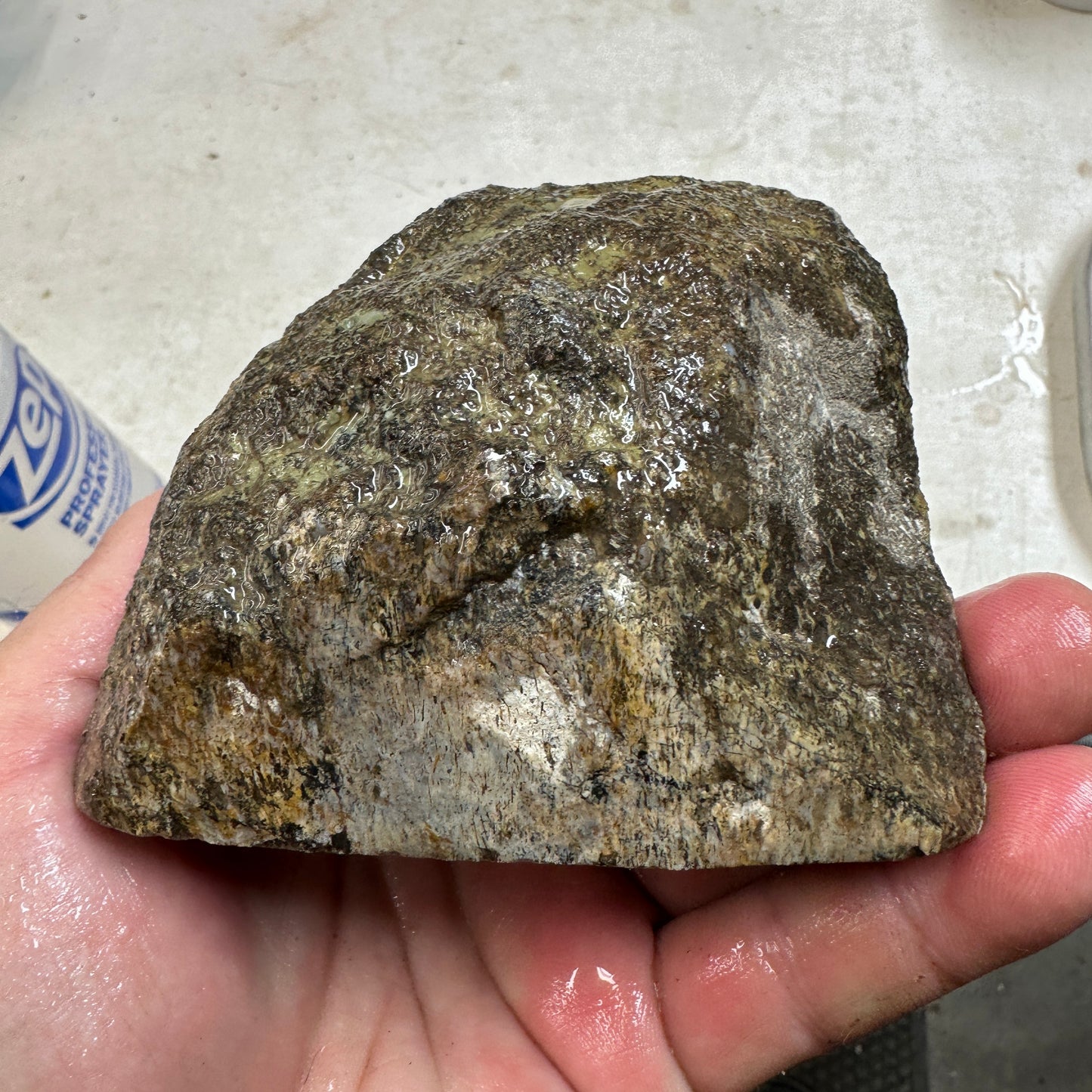 GEMBONE Dinosaur Bone Faced Rough - 2.11 Pounds