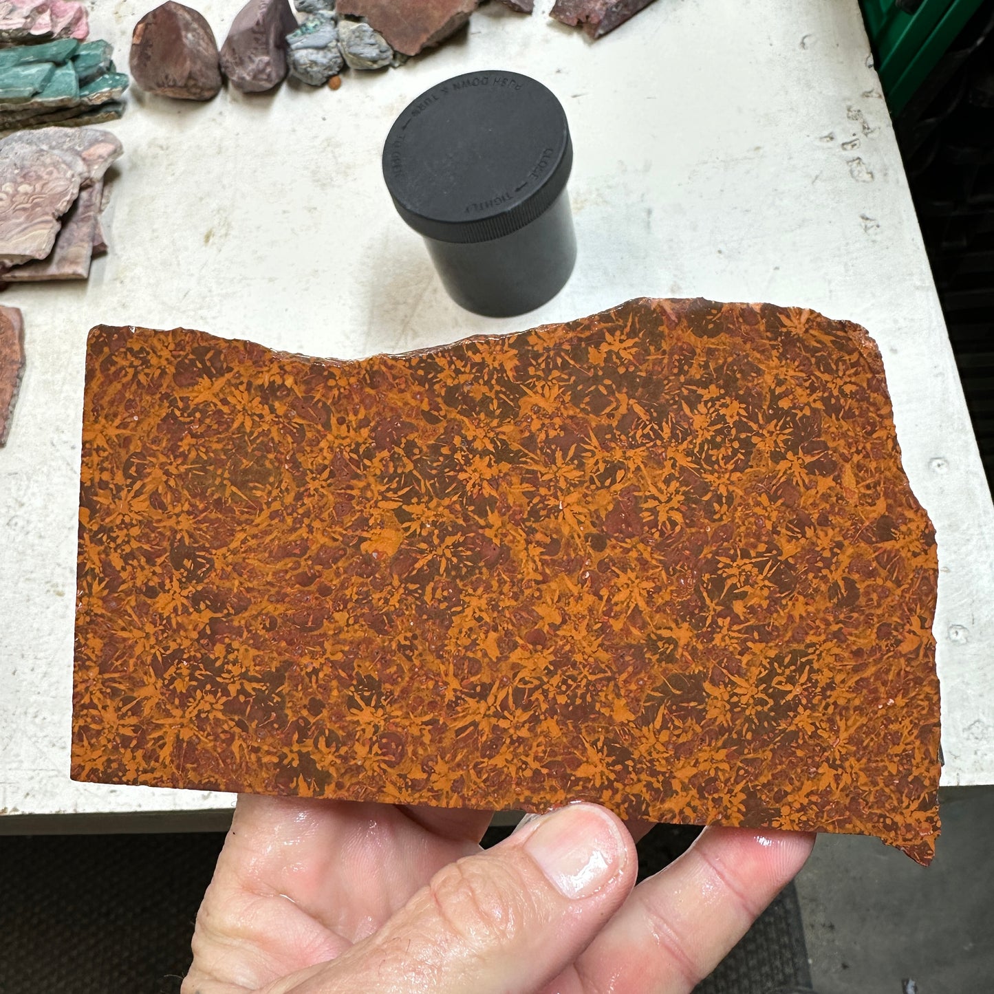 STARBURST RHYOLITE Slab - 260 grams