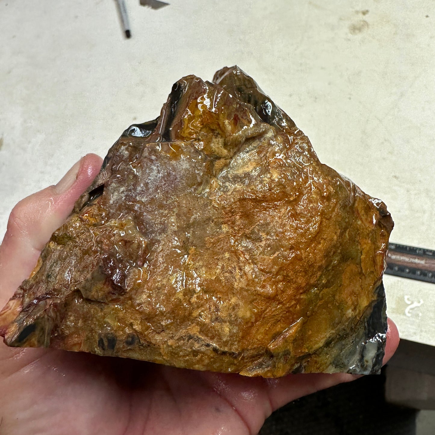 WINDY MOUNTAIN JASPER Faced Rough - 2.30 Pounds