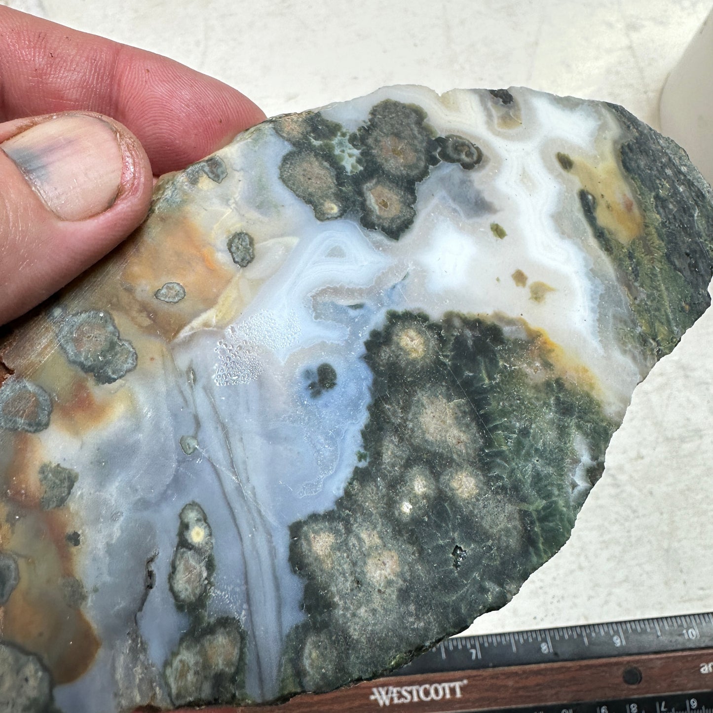 OCEAN JASPER Slab - 153 grams