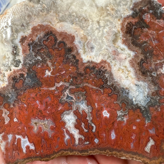 PAUL BUNYAN PLUME AGATE Slab - 122 grams