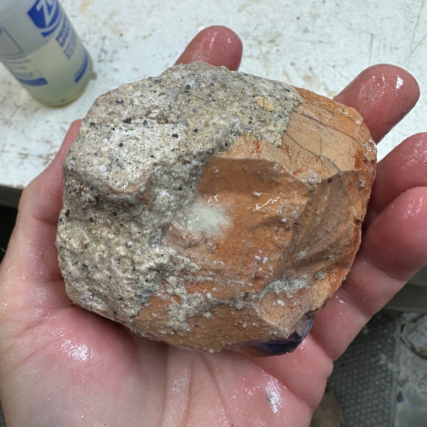 TIFFANY STONE Rough - 1.32 Pounds