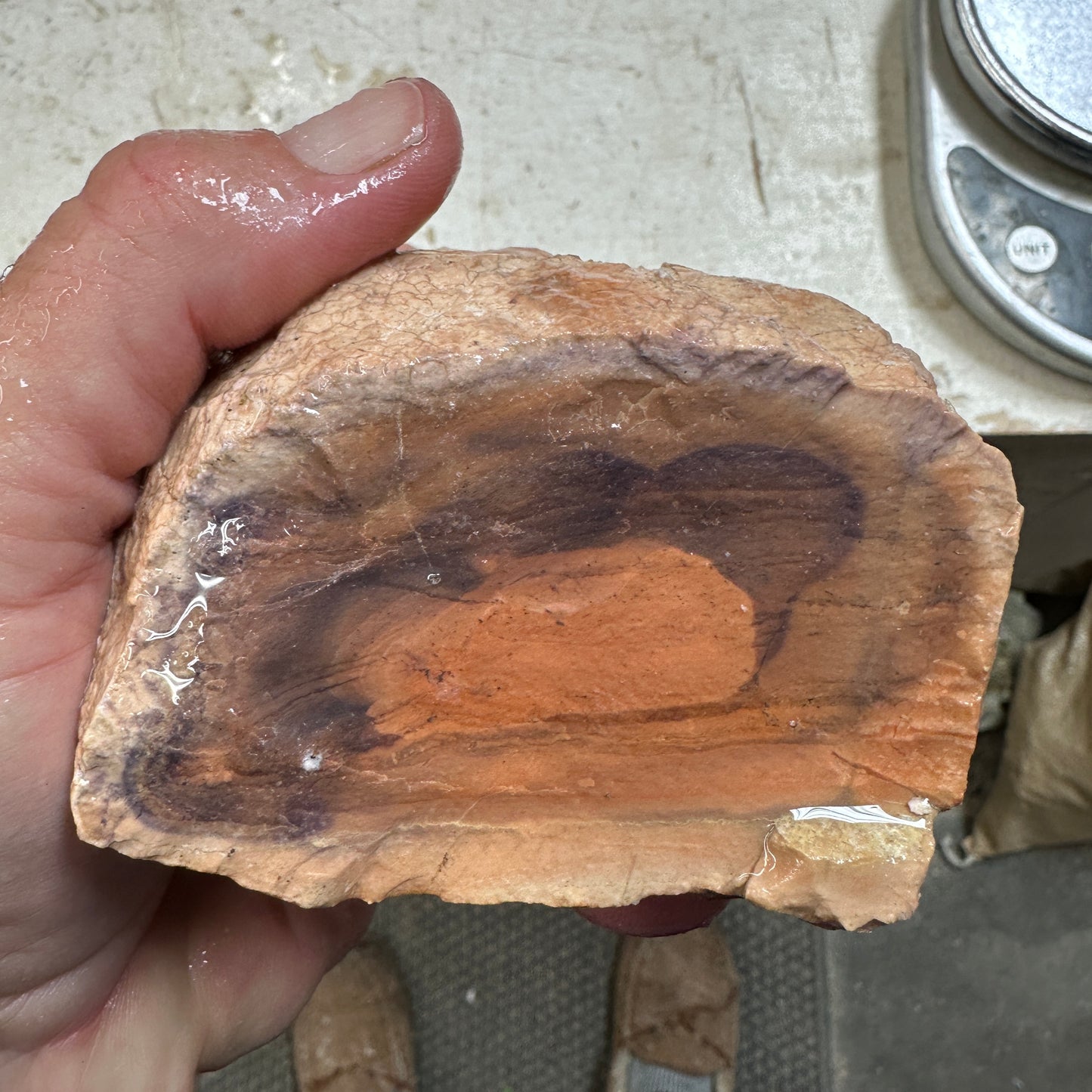 Rare Orbed TIFFANY STONE Rough - 1.78 Pounds