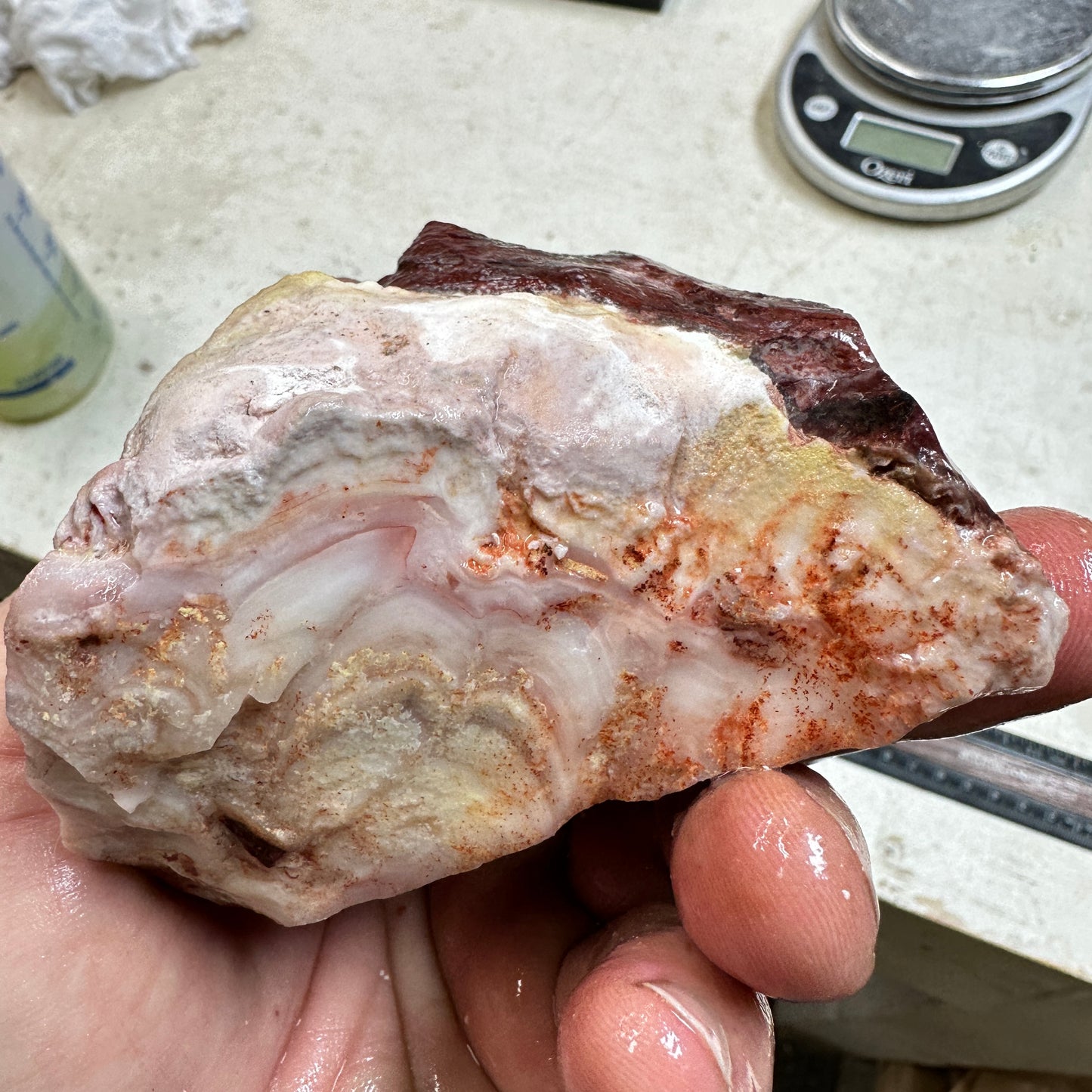 WINDY MOUNTAIN AGATE Rough - 1.21 Pounds