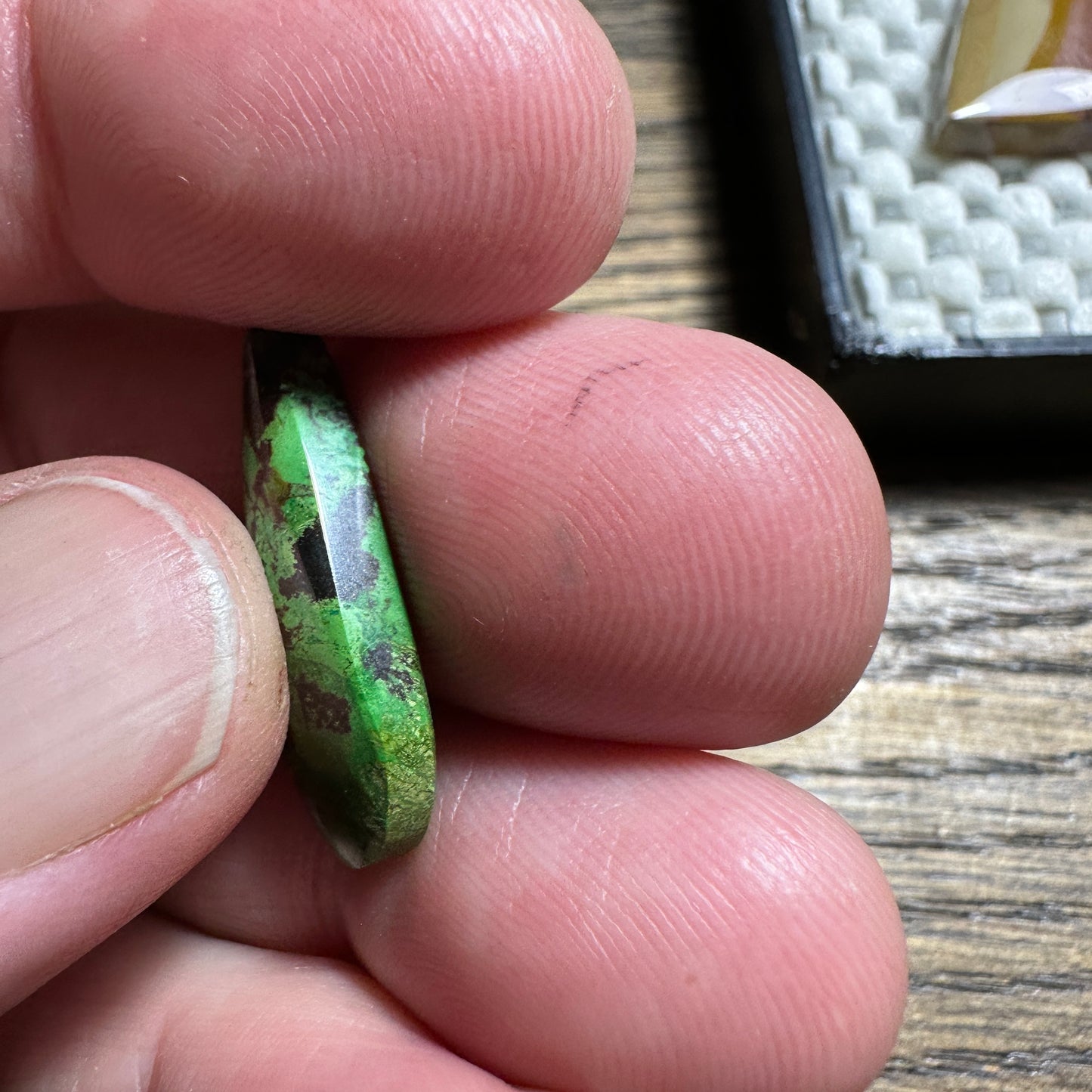 PARROT WING CHRYSOCOLLA cabochon