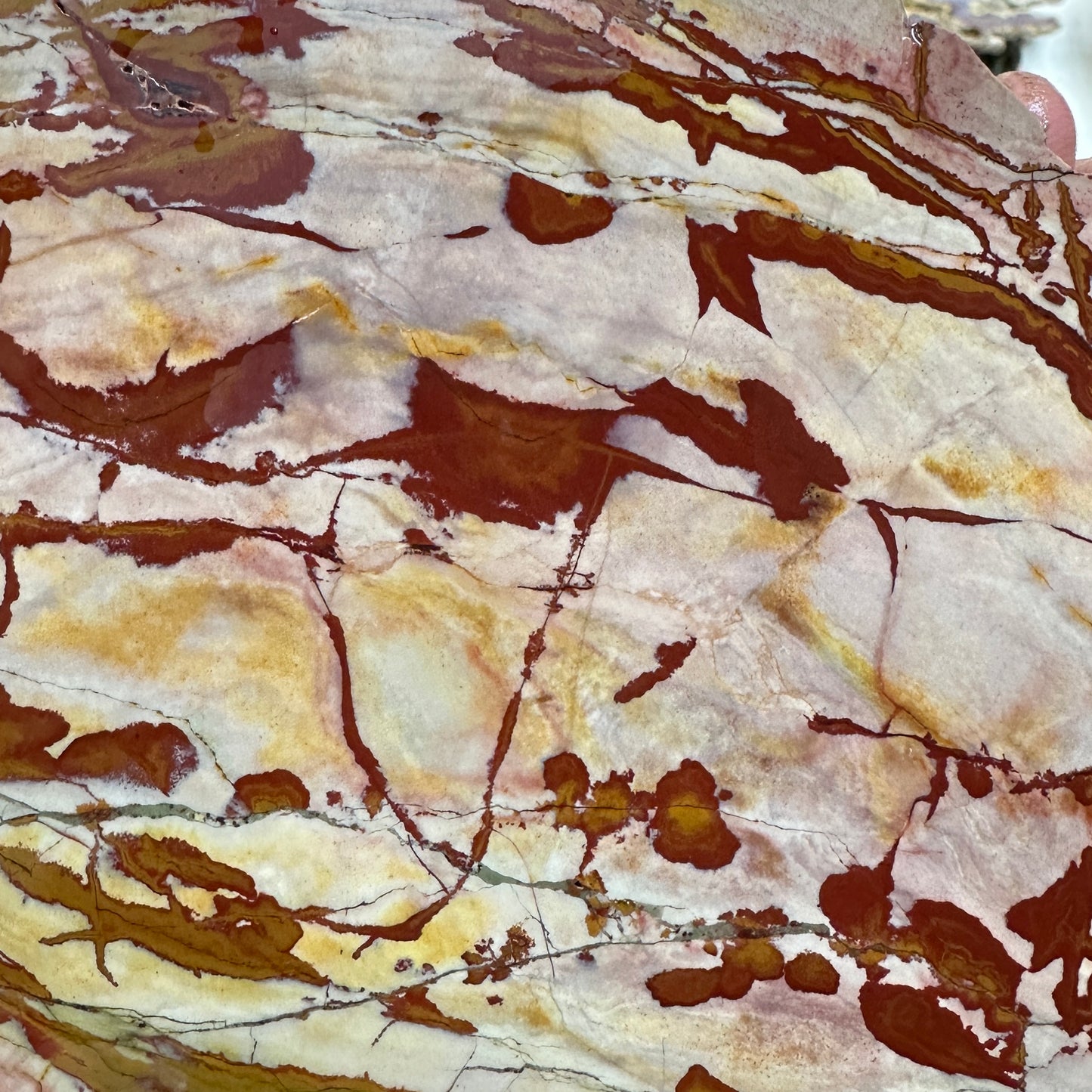 DEAD CAMEL JASPER Slab - 222 grams