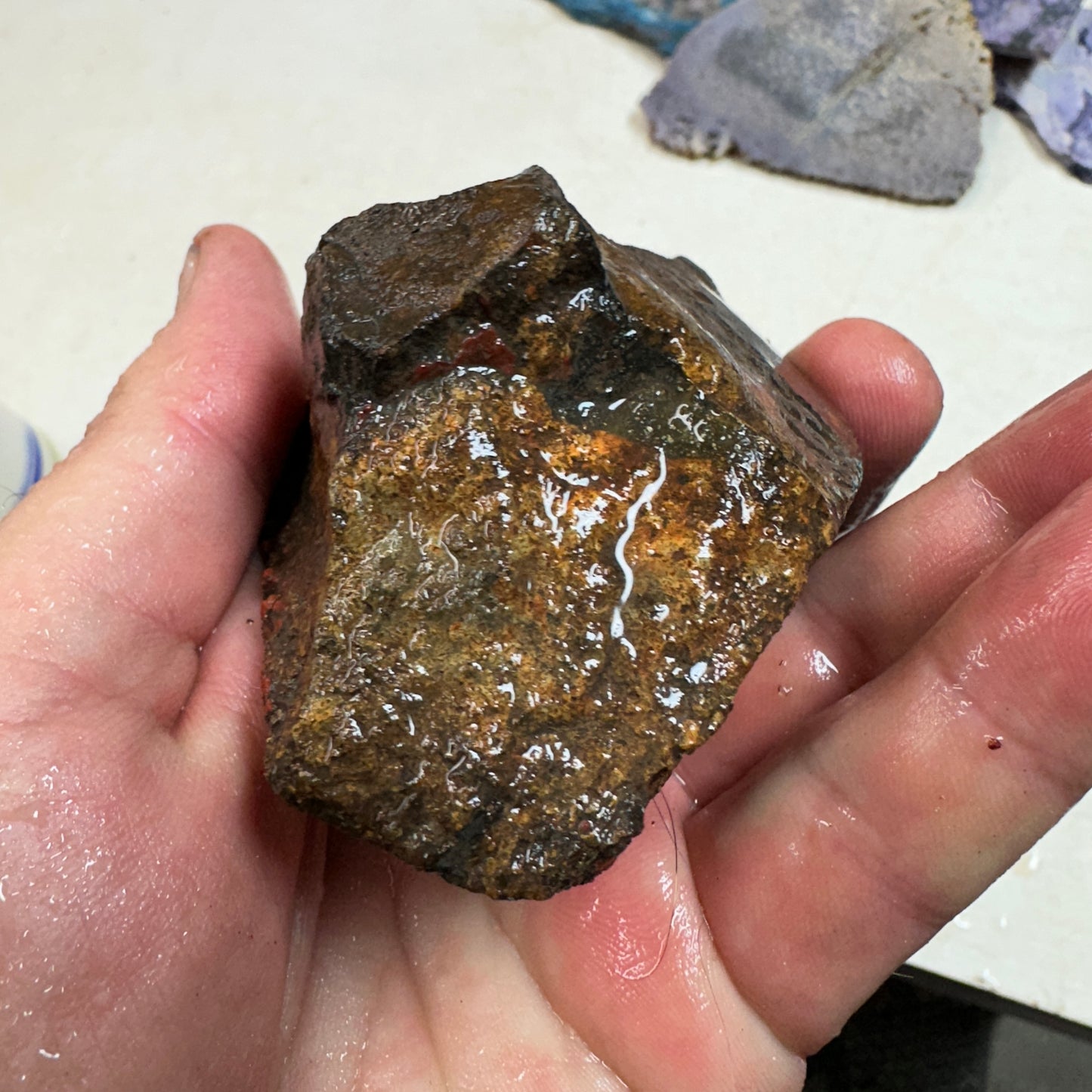 GEMBONE Dinosaur Bone Faced Rough - 0.83 Pounds