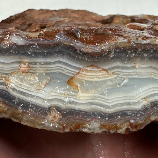 MOROCCAN AHOULI AGATE Rough - 1.09 Pounds