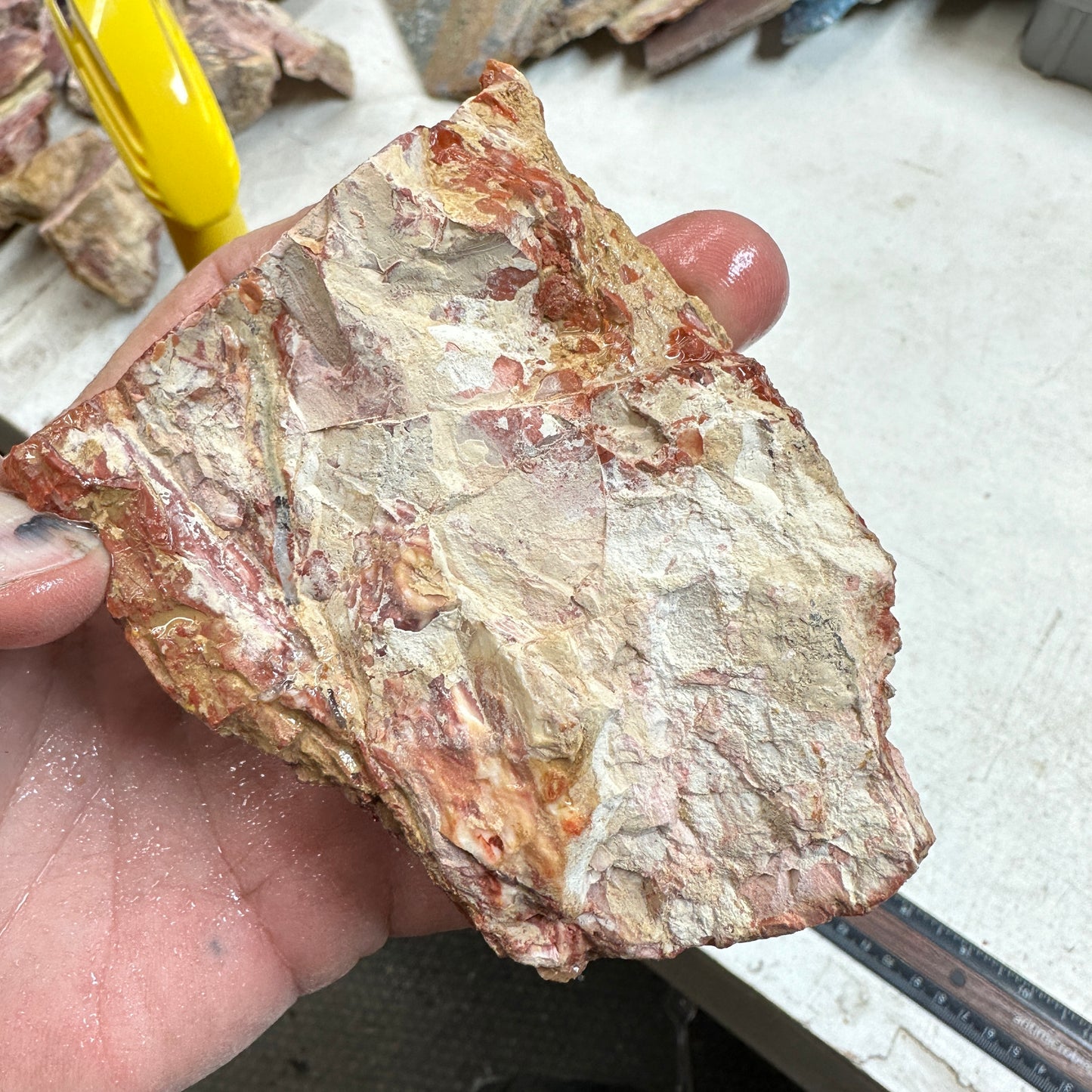 Red HOWARDITE Faced Rough - 12.2ozs