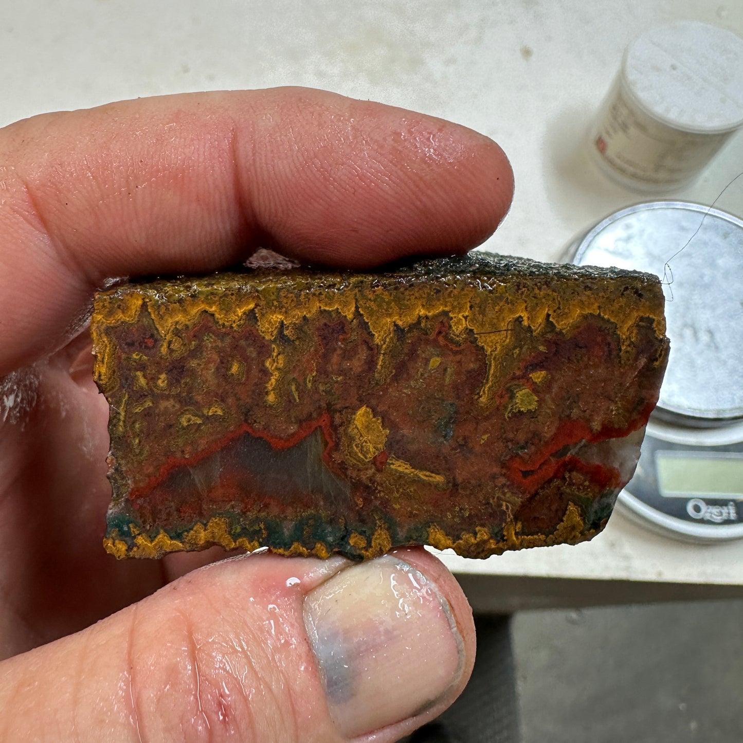 MOROCCAN SEAM AGATE Rough - 9.3ozs