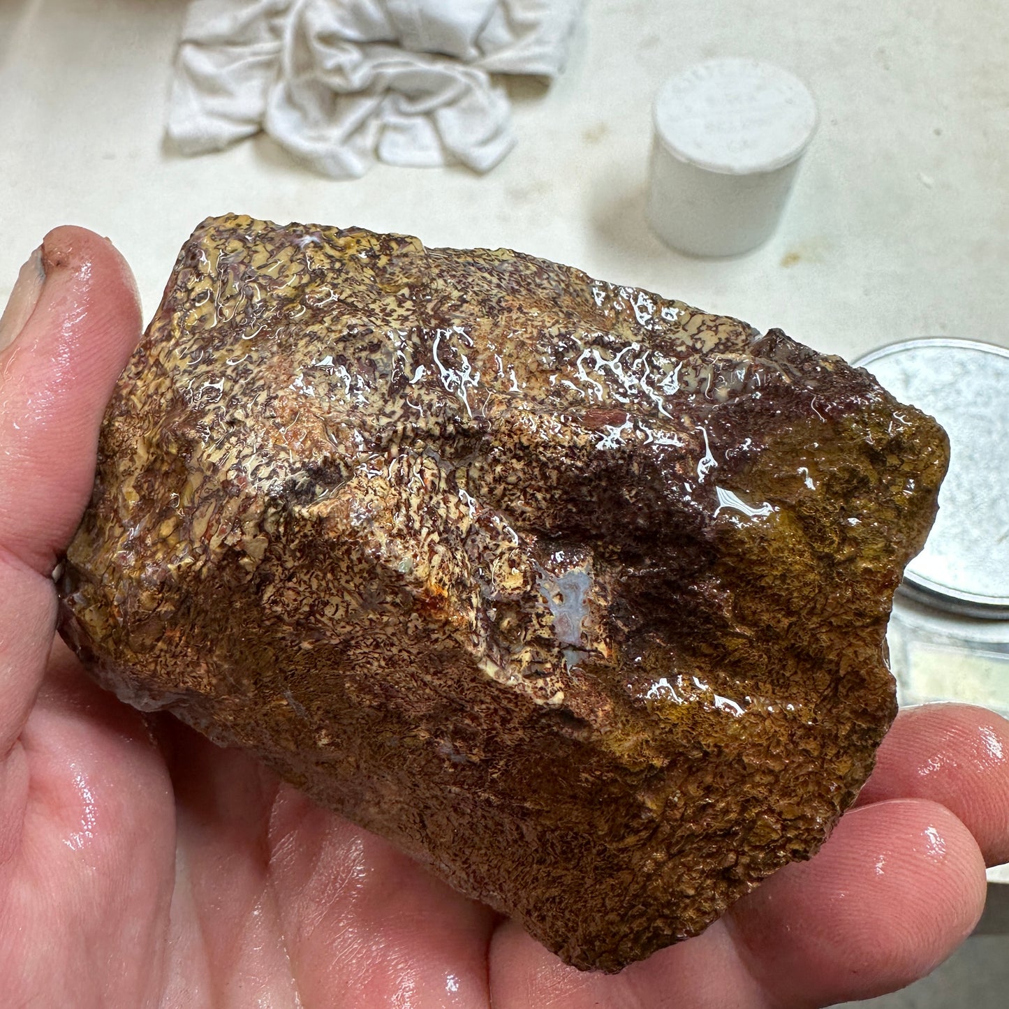 GEMBONE Dinosaur Bone Faced Rough - 0.86 Pounds