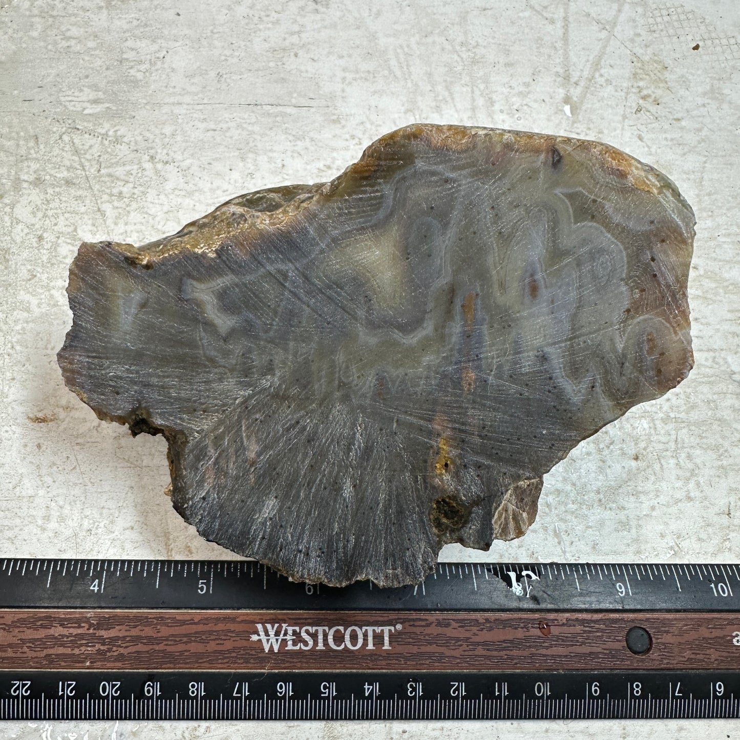 EAST TIMOR AGATE Faced Rough - 1.75 Pounds