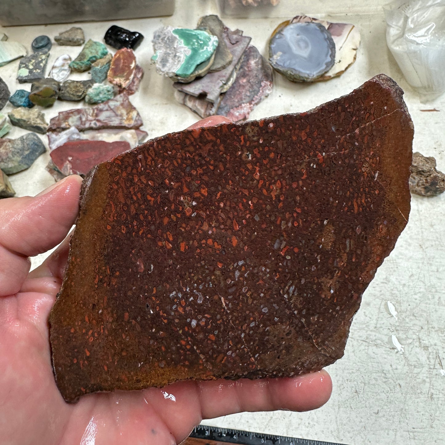 GEMBONE Dinosaur Bone Slab - 196 grams