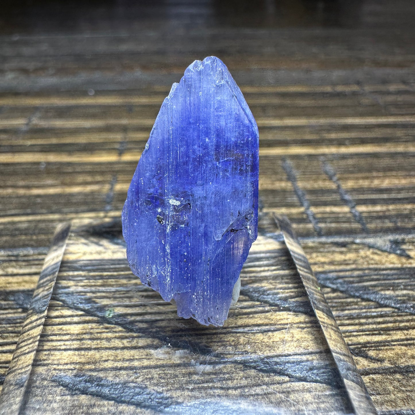 TANZANITE Crystal Display Mineral Specimen